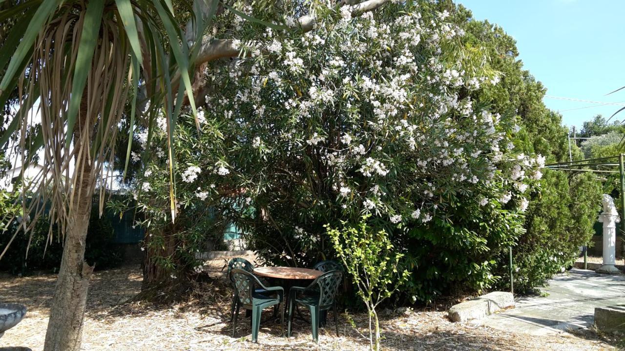 La Marina Gardens Beach Scauri  Luaran gambar